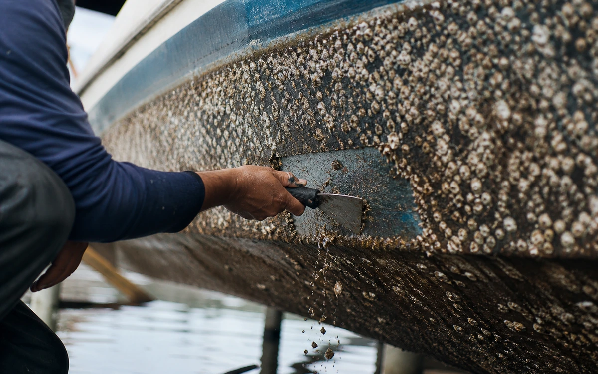 Hull cleaning contractor